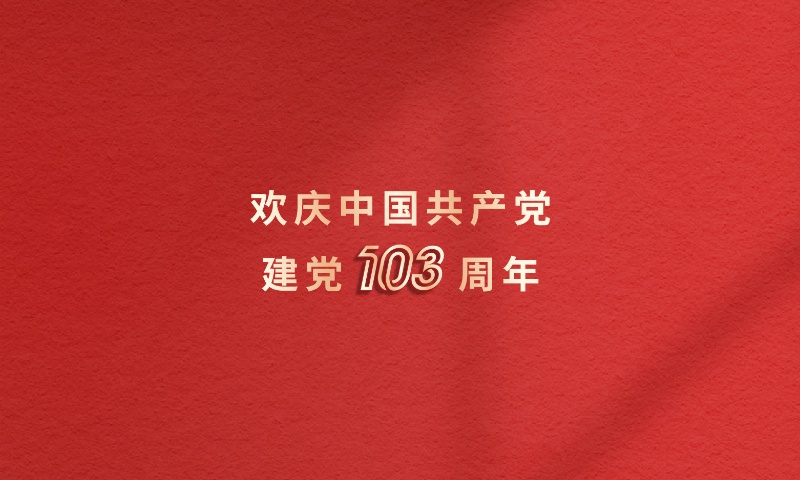 砥砺前行 低空高飞 | 庆建党103周年，宝运莱岳阳、漯河双党支部成立